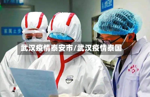 武汉疫情泰安市/武汉疫情泰国-第3张图片