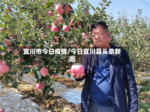 宜川市今日疫情/今日宜川县头条新闻-第1张图片