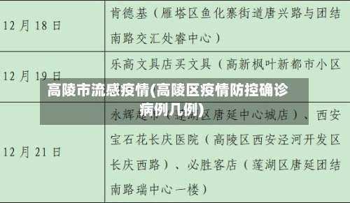 高陵市流感疫情(高陵区疫情防控确诊病例几例)-第2张图片