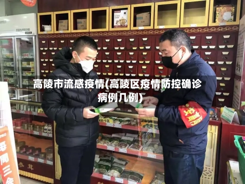 高陵市流感疫情(高陵区疫情防控确诊病例几例)-第1张图片