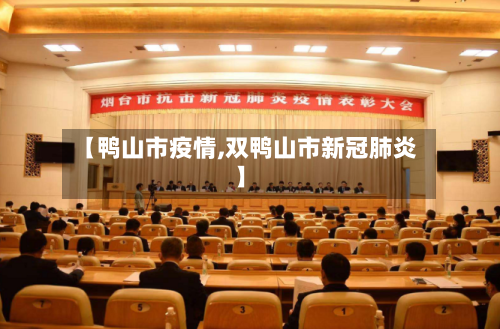 【鸭山市疫情,双鸭山市新冠肺炎】-第2张图片