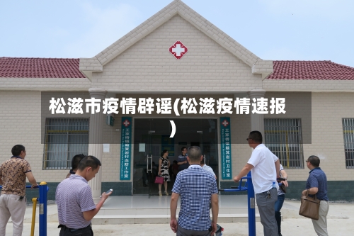 松滋市疫情辟谣(松滋疫情速报)-第2张图片