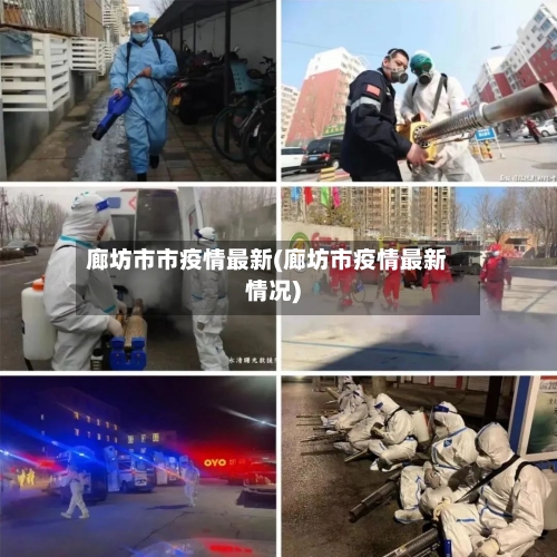 廊坊市市疫情最新(廊坊市疫情最新情况)-第2张图片
