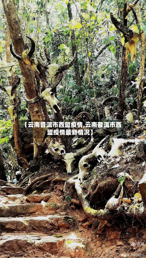 【云南普洱市西盟疫情,云南普洱市西盟疫情最新情况】-第1张图片