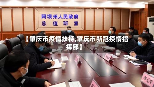 【肇庆市疫情扶持,肇庆市新冠疫情指挥部】-第3张图片
