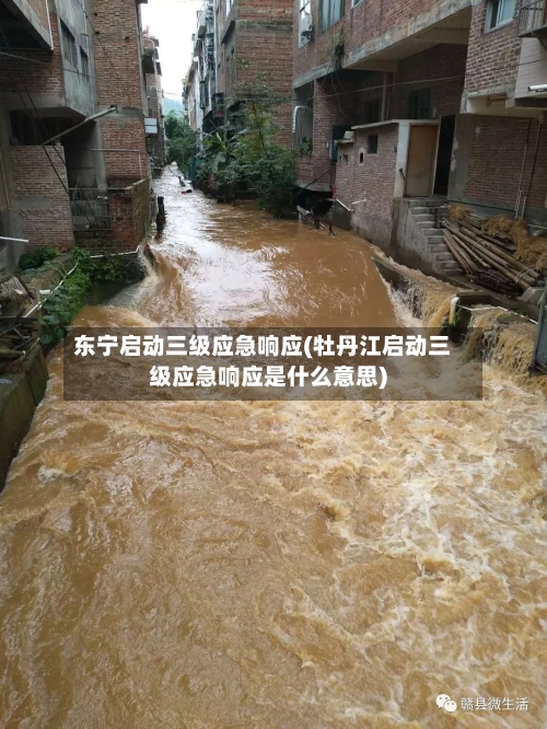 东宁启动三级应急响应(牡丹江启动三级应急响应是什么意思)-第2张图片