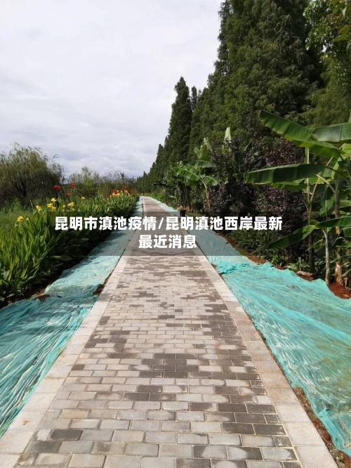 昆明市滇池疫情/昆明滇池西岸最新最近消息-第1张图片
