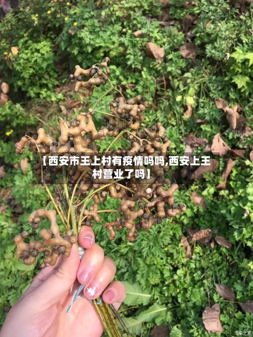 【西安市王上村有疫情吗吗,西安上王村营业了吗】-第1张图片