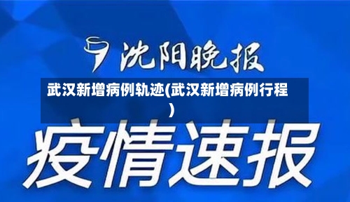 武汉新增病例轨迹(武汉新增病例行程)-第3张图片