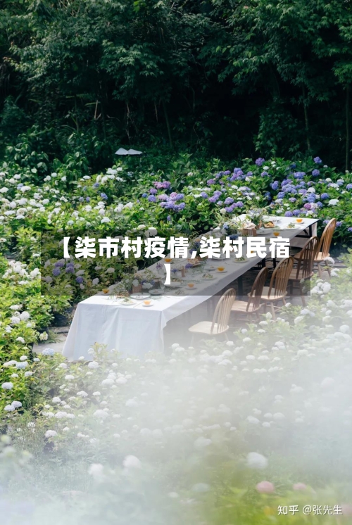 【柒市村疫情,柒村民宿】-第3张图片