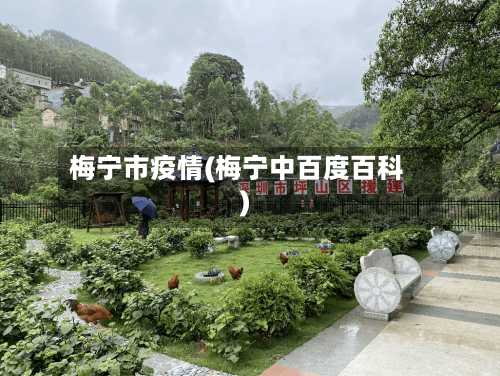 梅宁市疫情(梅宁中百度百科)-第1张图片