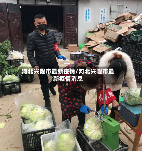 河北兴隆市最新疫情/河北兴隆市最新疫情消息-第1张图片
