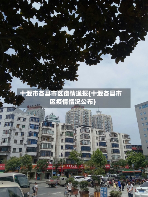 十堰市各县市区疫情通报(十堰各县市区疫情情况公布)-第3张图片