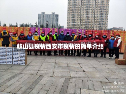 岐山县疫情西安市疫情的简单介绍-第3张图片