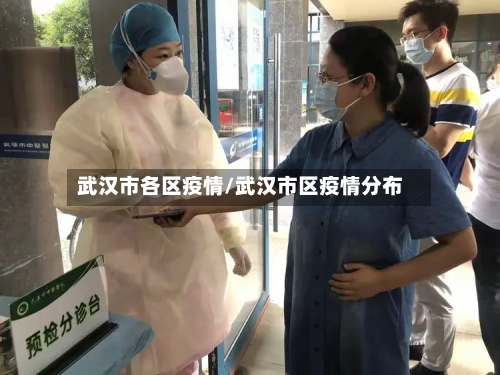 武汉市各区疫情/武汉市区疫情分布-第1张图片