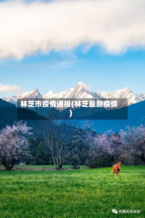 林芝市疫情通报(林芝最新疫情)-第1张图片