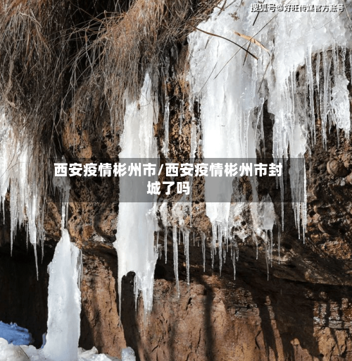 西安疫情彬州市/西安疫情彬州市封城了吗-第2张图片