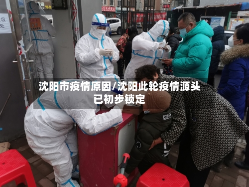 沈阳市疫情原因/沈阳此轮疫情源头已初步锁定-第2张图片