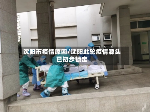 沈阳市疫情原因/沈阳此轮疫情源头已初步锁定-第1张图片