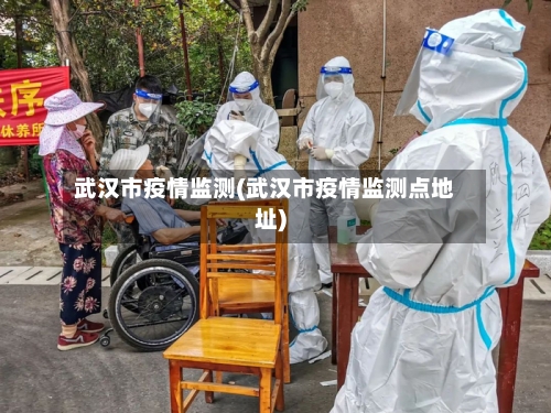 武汉市疫情监测(武汉市疫情监测点地址)-第1张图片