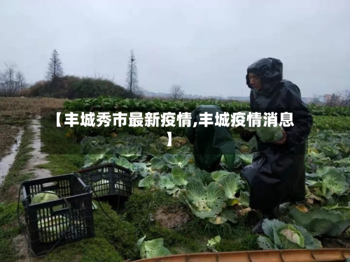 【丰城秀市最新疫情,丰城疫情消息】-第2张图片