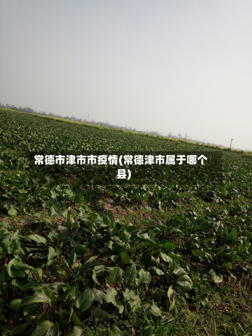 常德市津市市疫情(常德津市属于哪个县)-第2张图片