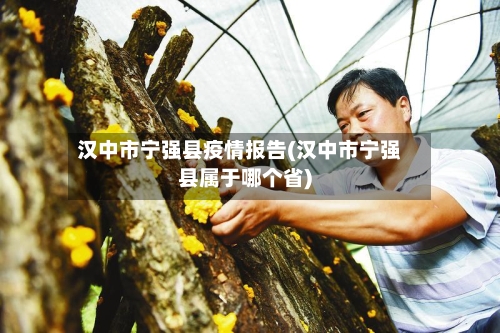汉中市宁强县疫情报告(汉中市宁强县属于哪个省)-第1张图片