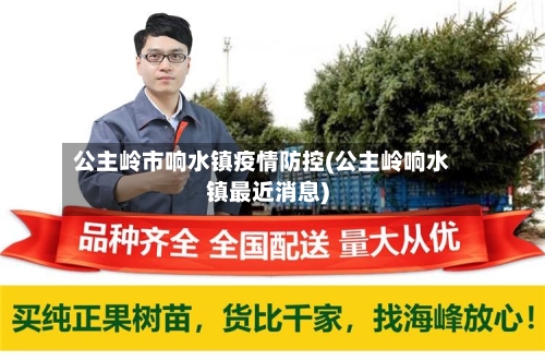 公主岭市响水镇疫情防控(公主岭响水镇最近消息)-第2张图片