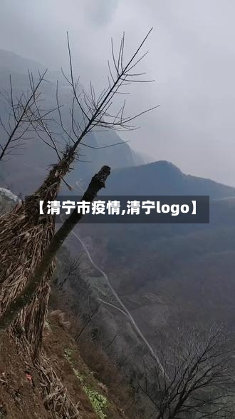 【清宁市疫情,清宁logo】-第3张图片