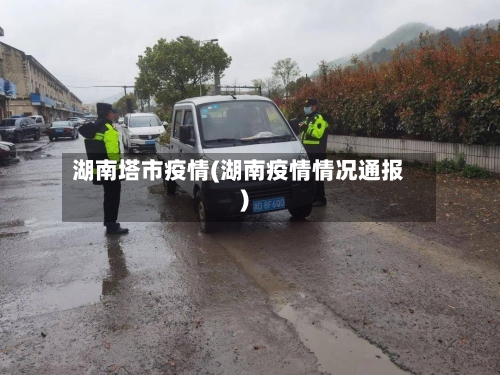 湖南塔市疫情(湖南疫情情况通报)-第2张图片