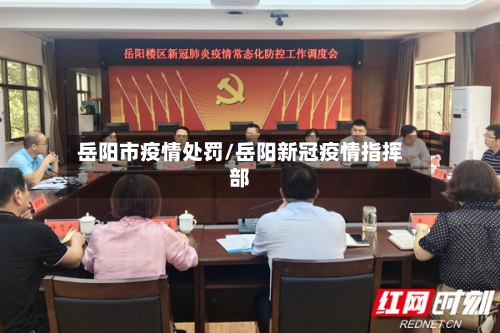 岳阳市疫情处罚/岳阳新冠疫情指挥部-第1张图片