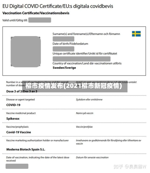 柳市疫情发布(2021柳市新冠疫情)-第2张图片