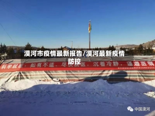 漠河市疫情最新报告/漠河最新疫情防控-第2张图片