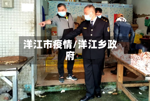 洋江市疫情/洋江乡政府-第1张图片