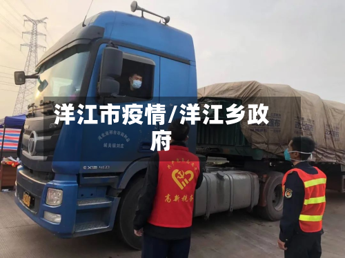 洋江市疫情/洋江乡政府-第3张图片