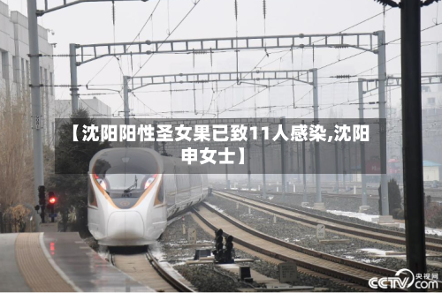 【沈阳阳性圣女果已致11人感染,沈阳申女士】-第2张图片