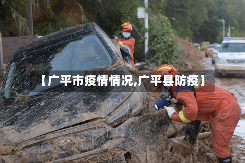 【广平市疫情情况,广平县防疫】-第2张图片