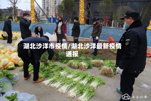 湖北沙洋市疫情/湖北沙洋最新疫情通报-第2张图片