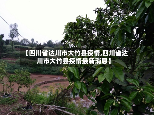 【四川省达川市大竹县疫情,四川省达川市大竹县疫情最新消息】-第1张图片
