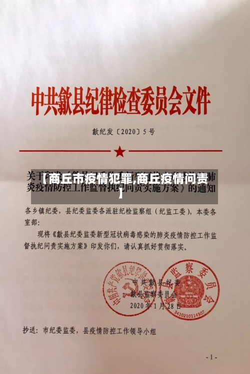 【商丘市疫情犯罪,商丘疫情问责】-第2张图片