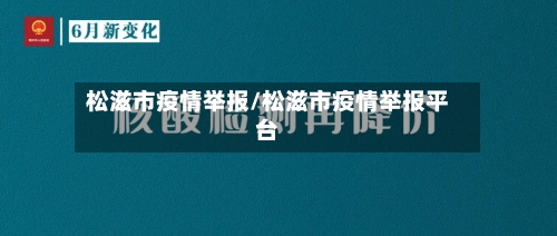 松滋市疫情举报/松滋市疫情举报平台-第2张图片