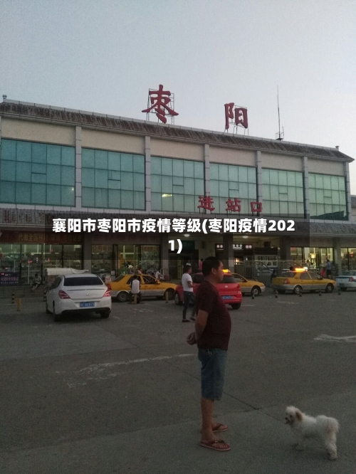 襄阳市枣阳市疫情等级(枣阳疫情2021)-第1张图片