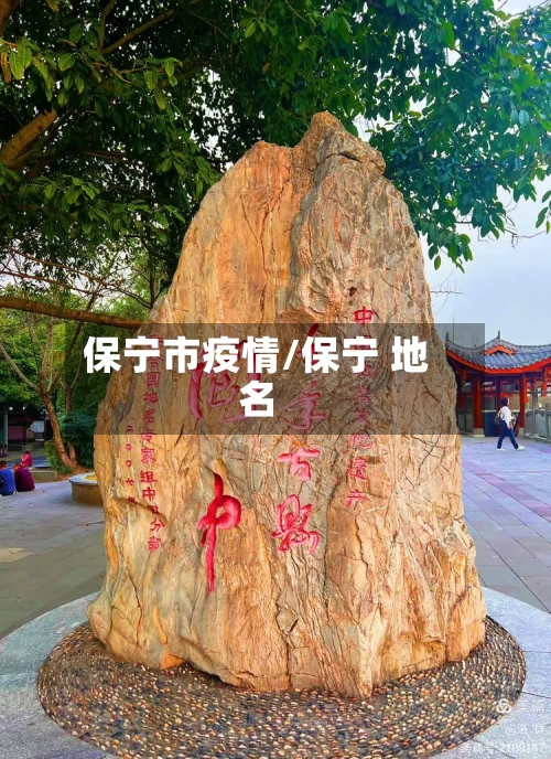 保宁市疫情/保宁 地名-第2张图片
