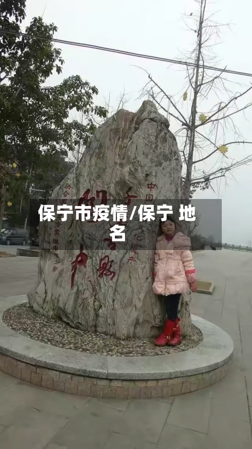 保宁市疫情/保宁 地名-第3张图片