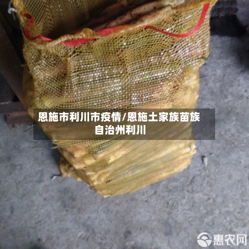 恩施市利川市疫情/恩施土家族苗族自治州利川-第2张图片