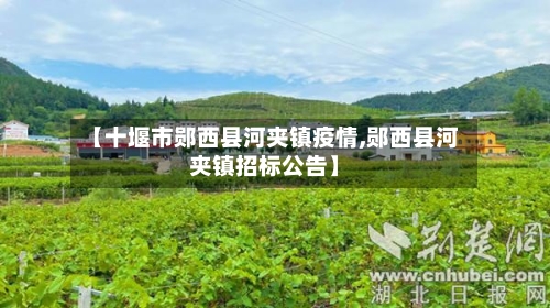 【十堰市郧西县河夹镇疫情,郧西县河夹镇招标公告】-第1张图片