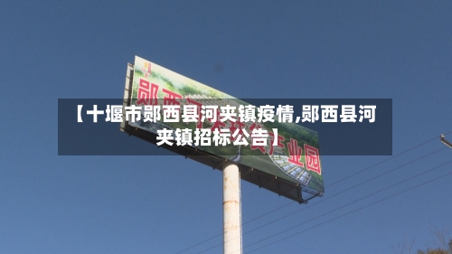 【十堰市郧西县河夹镇疫情,郧西县河夹镇招标公告】-第3张图片