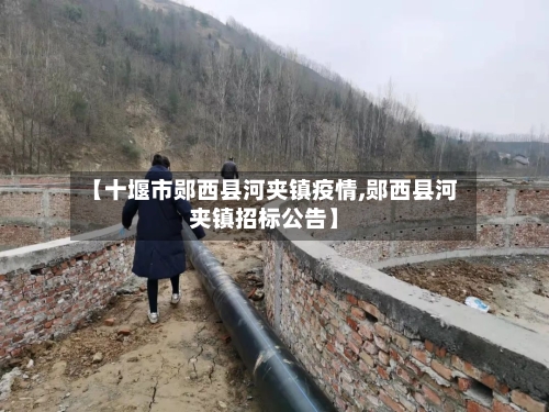 【十堰市郧西县河夹镇疫情,郧西县河夹镇招标公告】-第2张图片