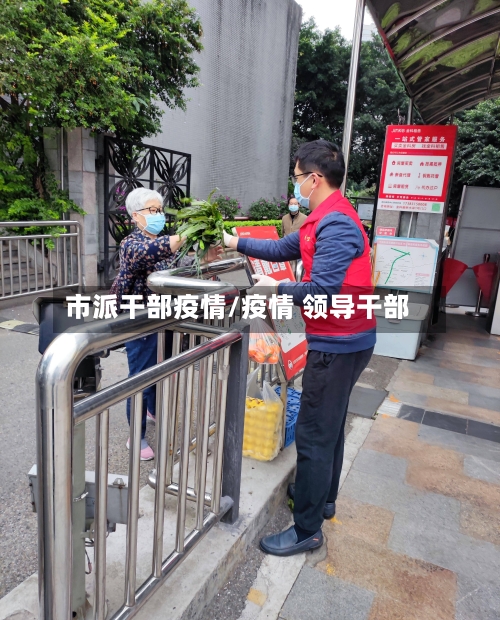 市派干部疫情/疫情 领导干部-第1张图片