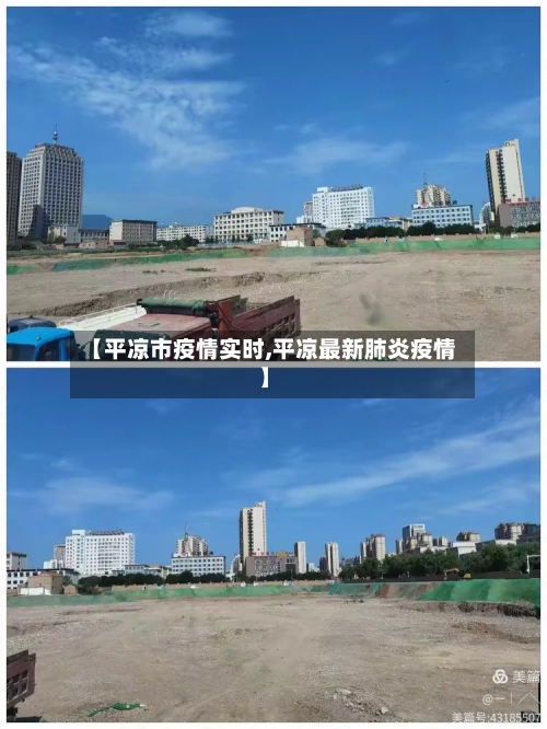 【平凉市疫情实时,平凉最新肺炎疫情】-第2张图片